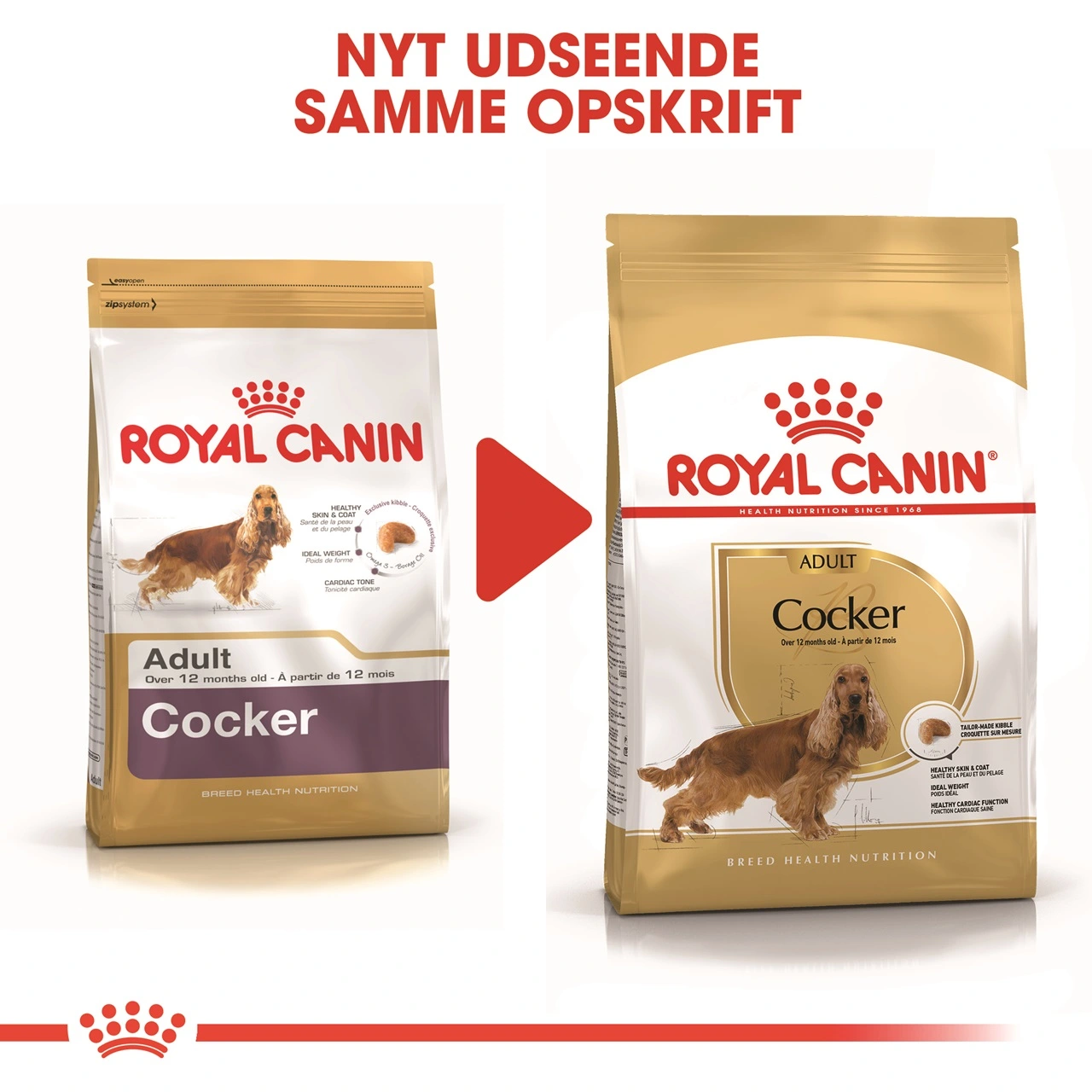 Royal Canin Cocker Spaniel Adult 12 kg - tørfoder til voksne hunde